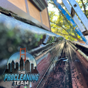Clean gutters