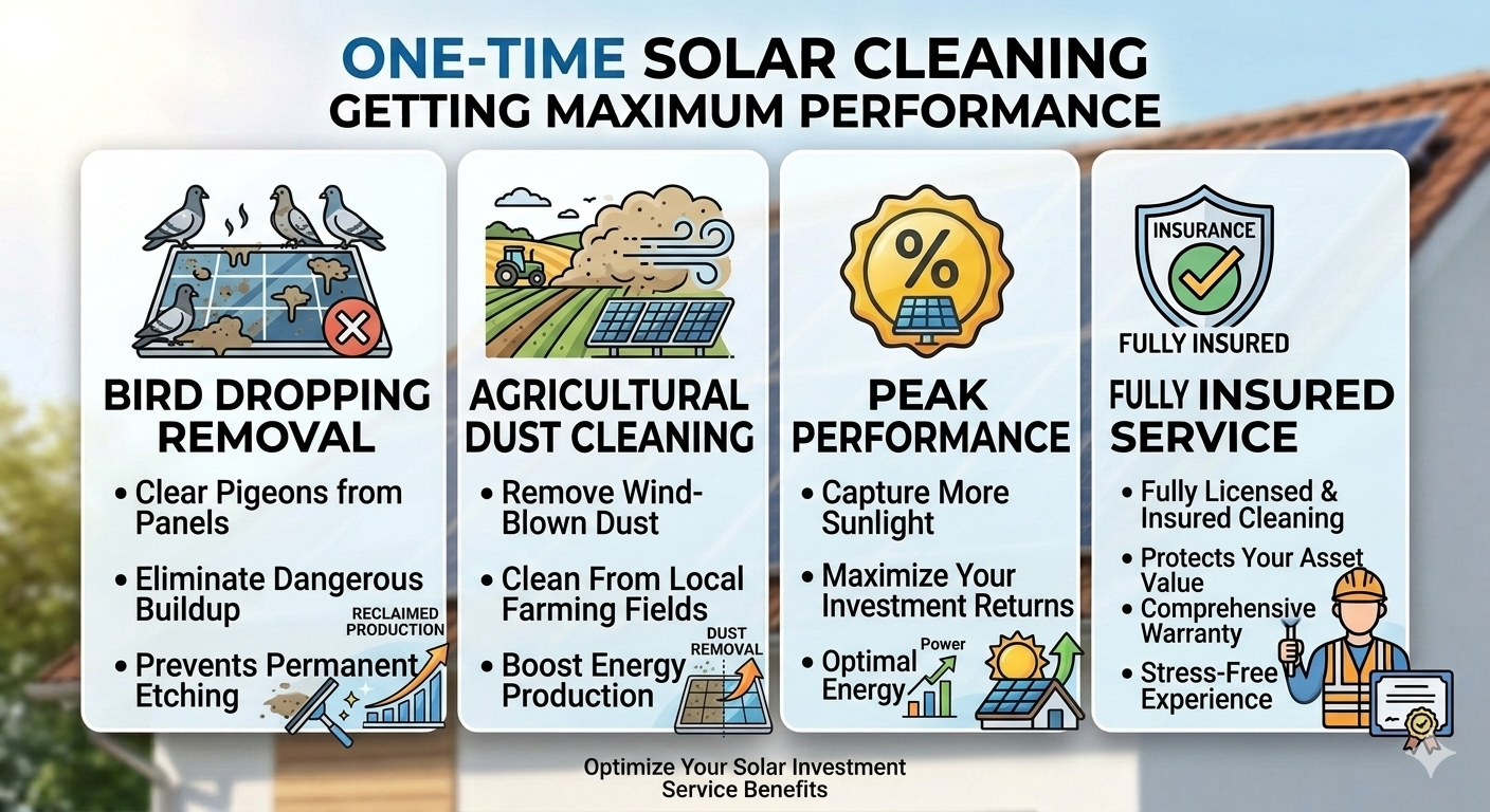 Solar Panel Cleaning