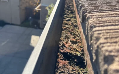 Danville Gutter Cleaning
