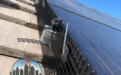 Solar panel guard and pigeon abatement services
