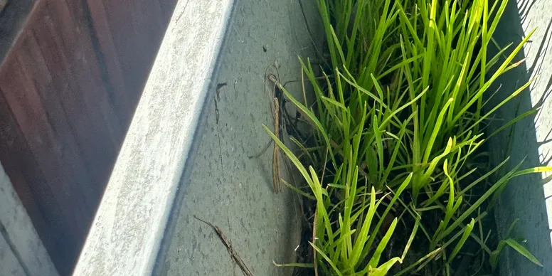 Gutter Cleaning