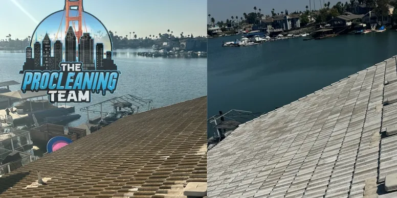 Roof Washing